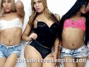 3brunettes_temptation