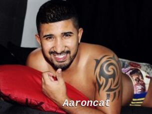 Aaroncat