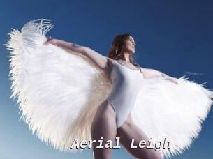 Aerial_Leigh