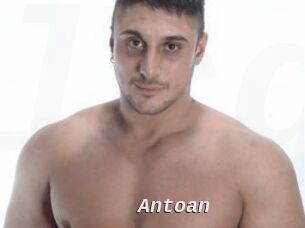 Antoan