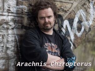 Arachnis_Chiropterus