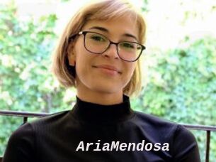 AriaMendosa