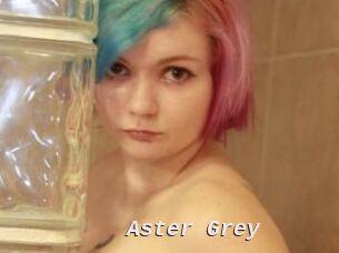 Aster_Grey