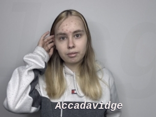 Accadavidge