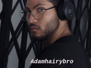 Adamhairybro