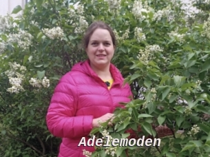 Adelemoden