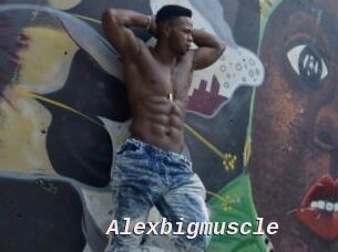 Alexbigmuscle