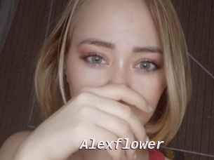 Alexflower