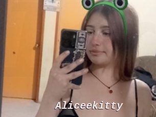 Aliceekitty