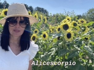 Alicescorpio