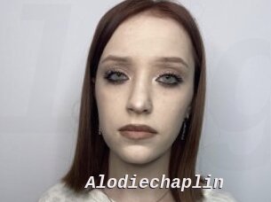 Alodiechaplin