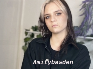 Amitybawden