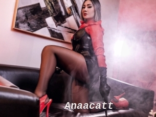 Anaacatt