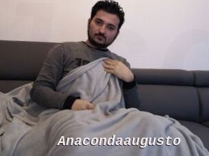 Anacondaaugusto