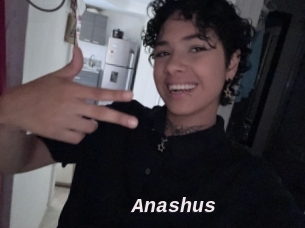 Anashus