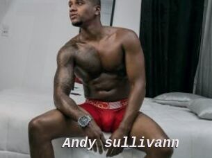 Andy_sullivann