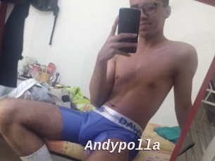 Andypolla