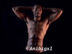 Anibigxl