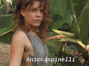 Aniccaspinelli