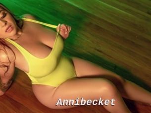 Annibecket