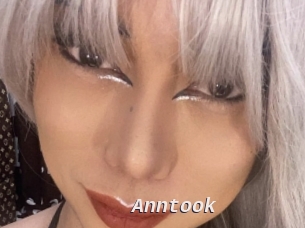 Anntook