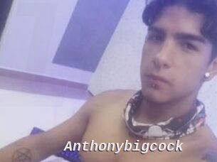 Anthonybigcock