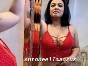 Antoneellaacruz