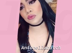 Antonellabitch