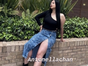 Antonellachan