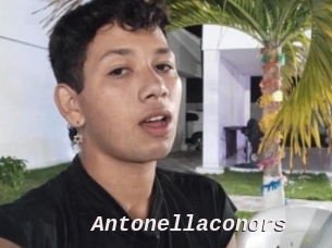 Antonellaconors