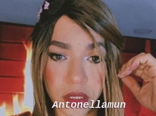 Antonellamun