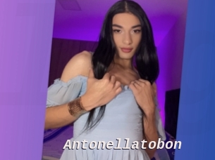 Antonellatobon