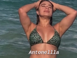 Antonellla