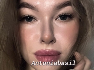 Antoniabasil