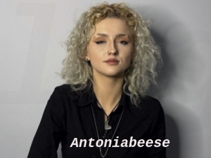 Antoniabeese