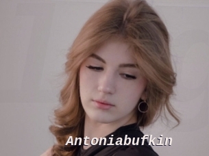 Antoniabufkin
