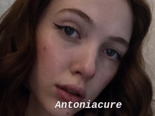 Antoniacure