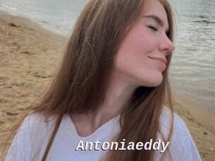 Antoniaeddy