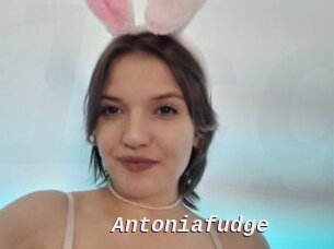 Antoniafudge