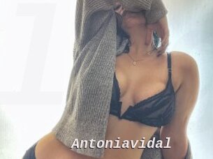 Antoniavidal