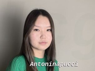 Antoninapucci