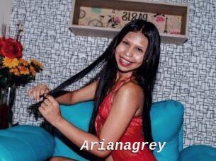 Arianagrey