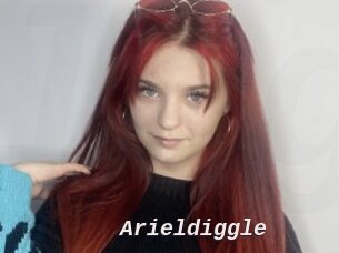 Arieldiggle