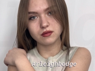 Arleighbodge