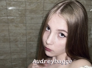 Audreybagge