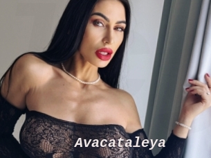 Avacataleya