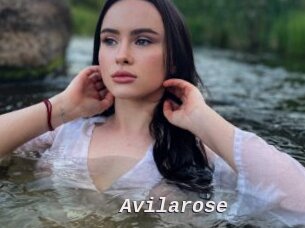 Avilarose