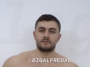 BIGALFREDXL