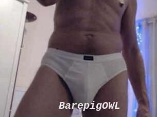 BarepigOWL