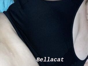 Bellacat